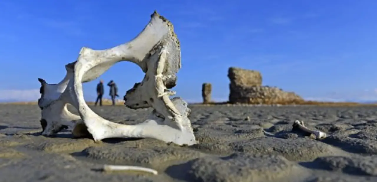 Bugüne Kadar Hep Yanından Geçtik: 3 Bin Yıllık Şehir Sessizce Saklanmış 2