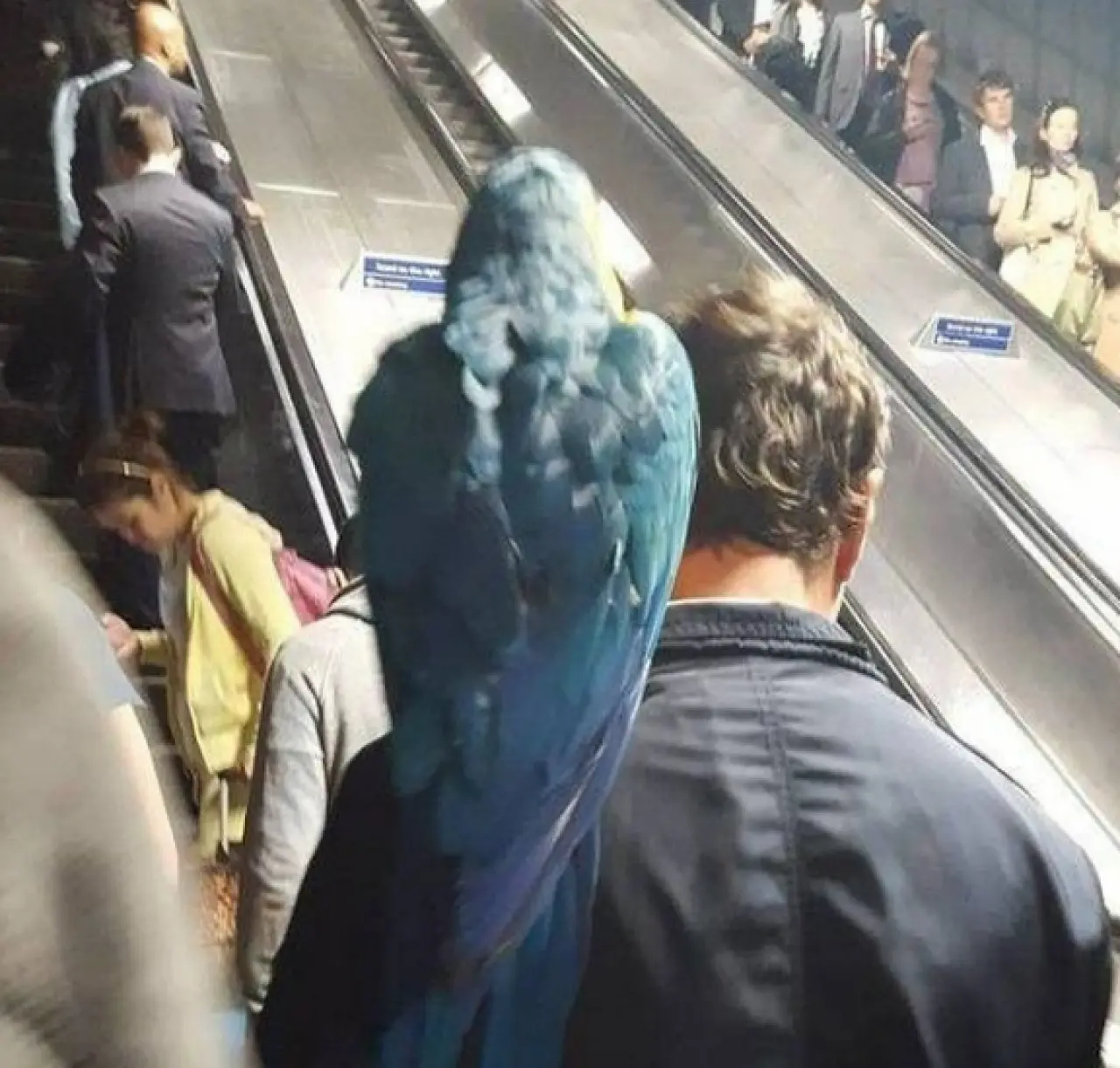 Ne Olduğunu Anlamaya Çalışırken Tekrar Bakacağınız Fotoğraflar! 15