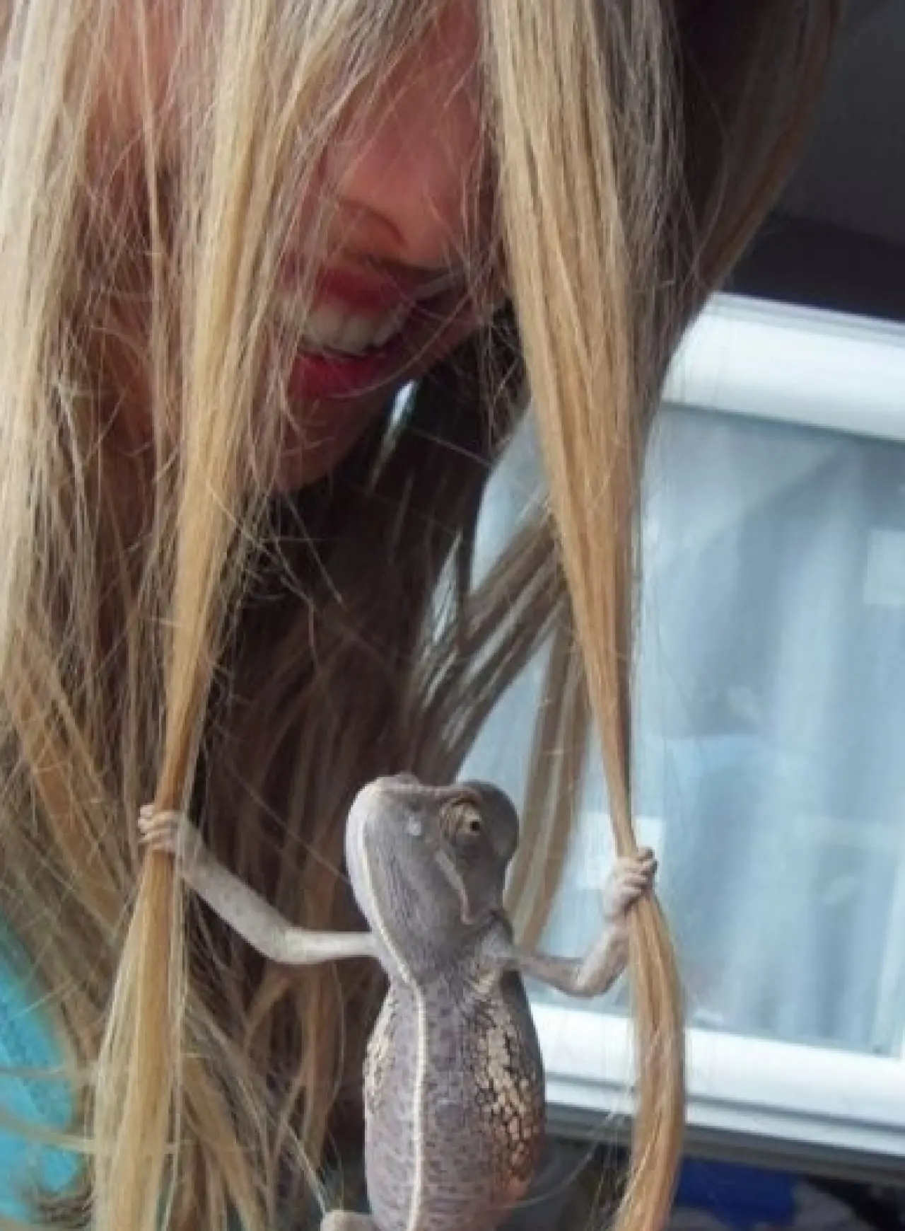 Bir Hayvan Bu Kadar mı İnsan Gibi Davranır? Gülümseten Kareler Burada 26