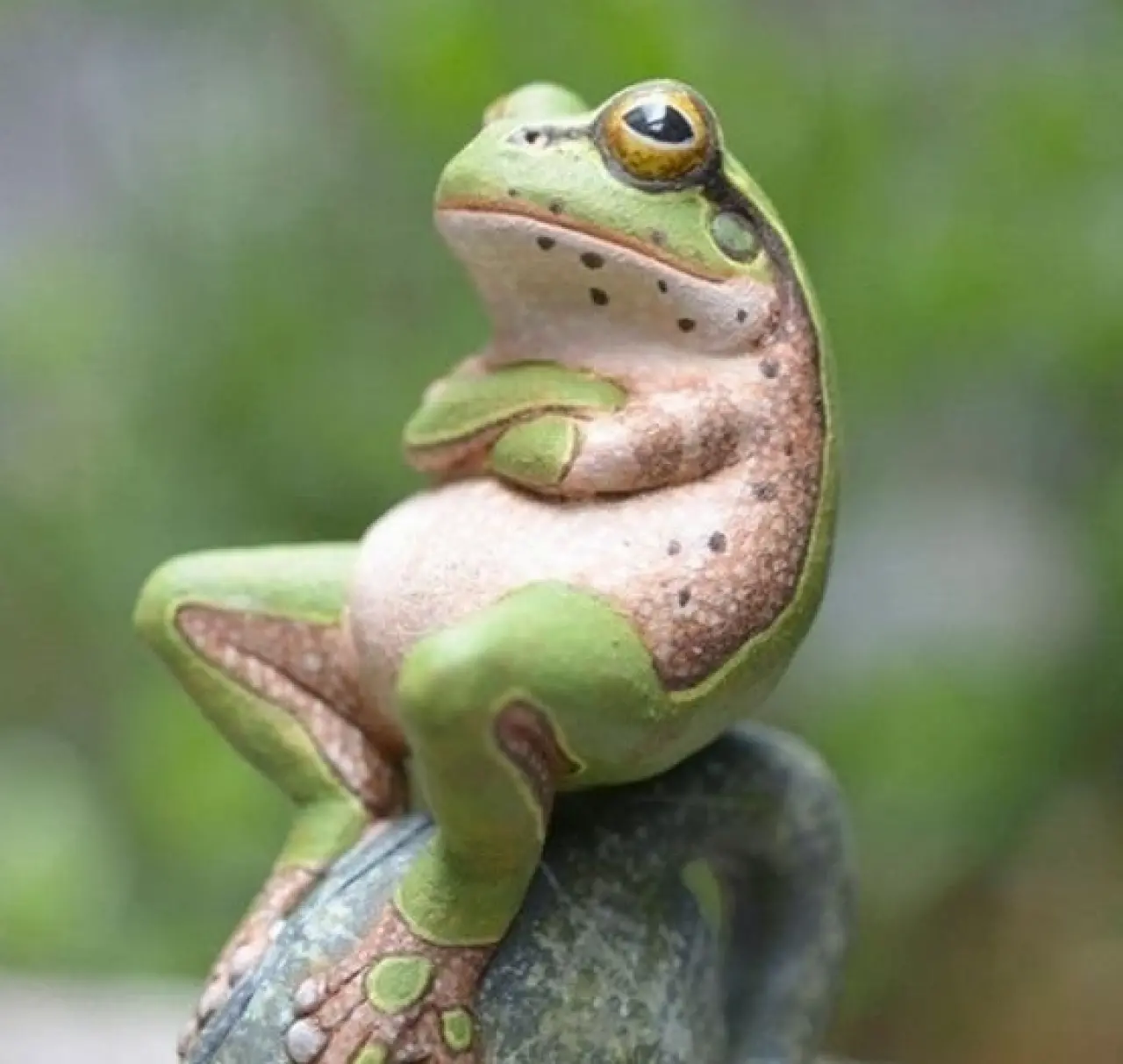 Bir Hayvan Bu Kadar mı İnsan Gibi Davranır? Gülümseten Kareler Burada 14