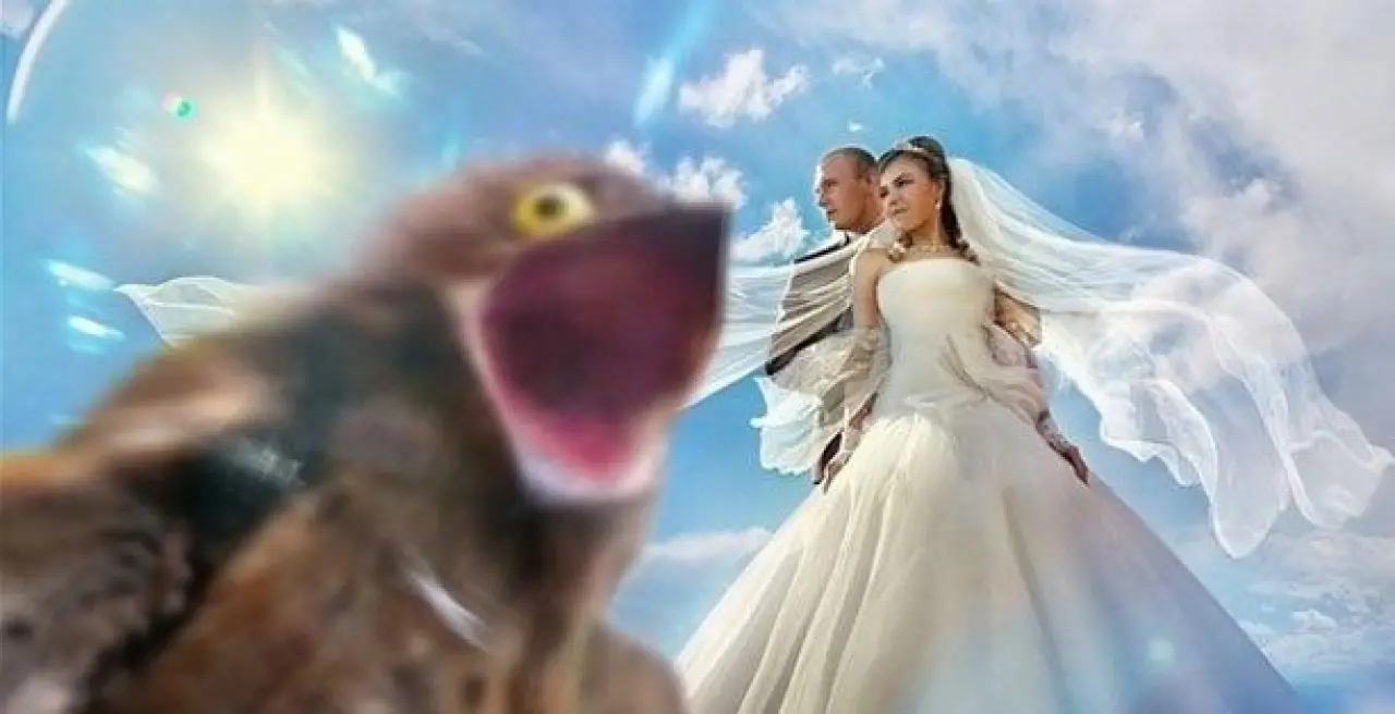 Kimi Balıklarla Evlenmiş, Kimi Eşeği Nikah Şahidi Yapmış: Bu Düğünlerden Sonra Evlenmek İstemeyeceksiniz 4