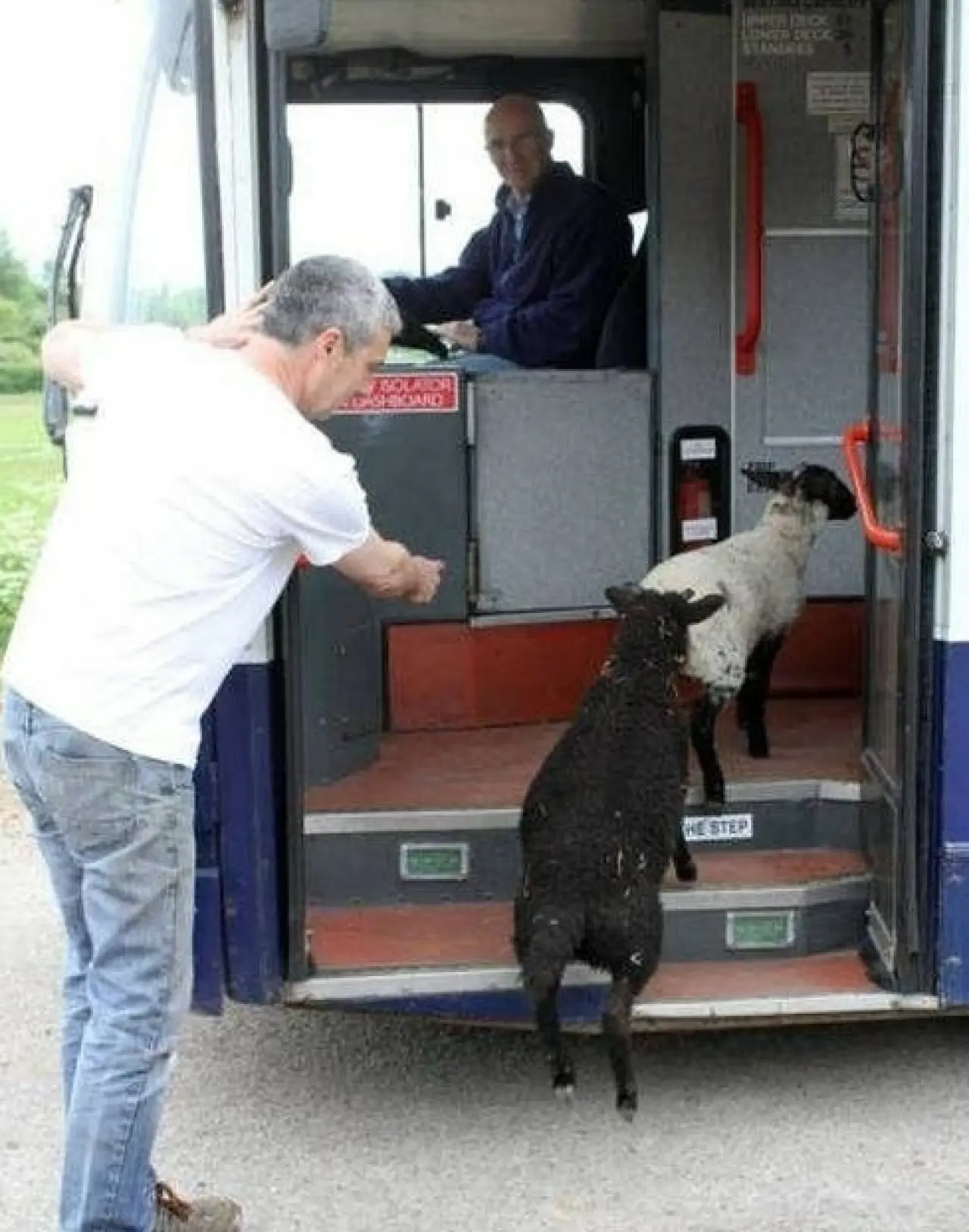 Ne Olduğunu Anlamaya Çalışırken Tekrar Bakacağınız Fotoğraflar! 7