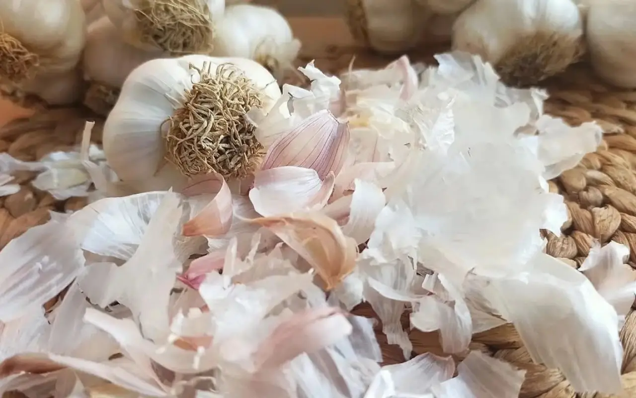 İşte sarımsak kabuğunun mucize etkisi 1