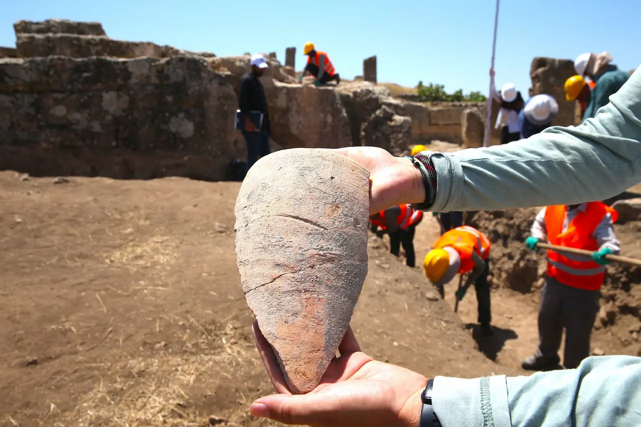 Zerzevan Kalesi’nde 1800 yıllık su mucizesi ortaya çıkarıldı 4