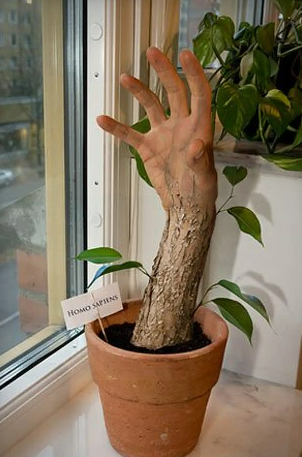 İlk Bakışta Normal Gibi... Ama İkinci Kez Bakmadan Geçemeyeceksiniz 20