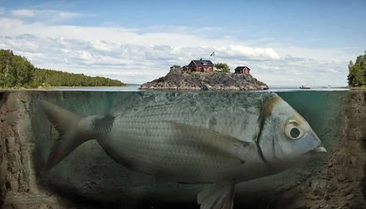 İlk Bakışta Normal Gibi... Ama İkinci Kez Bakmadan Geçemeyeceksiniz 30