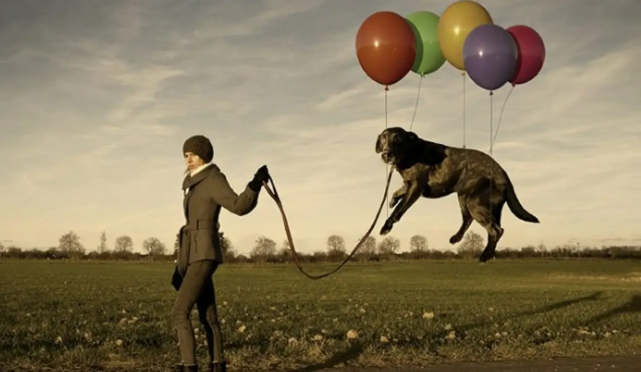 İlk Bakışta Normal Gibi... Ama İkinci Kez Bakmadan Geçemeyeceksiniz 9