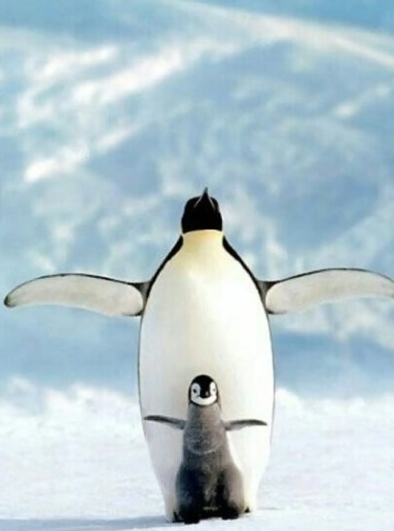 Bir Hayvan Bu Kadar mı İnsan Gibi Davranır? Gülümseten Kareler Burada 35