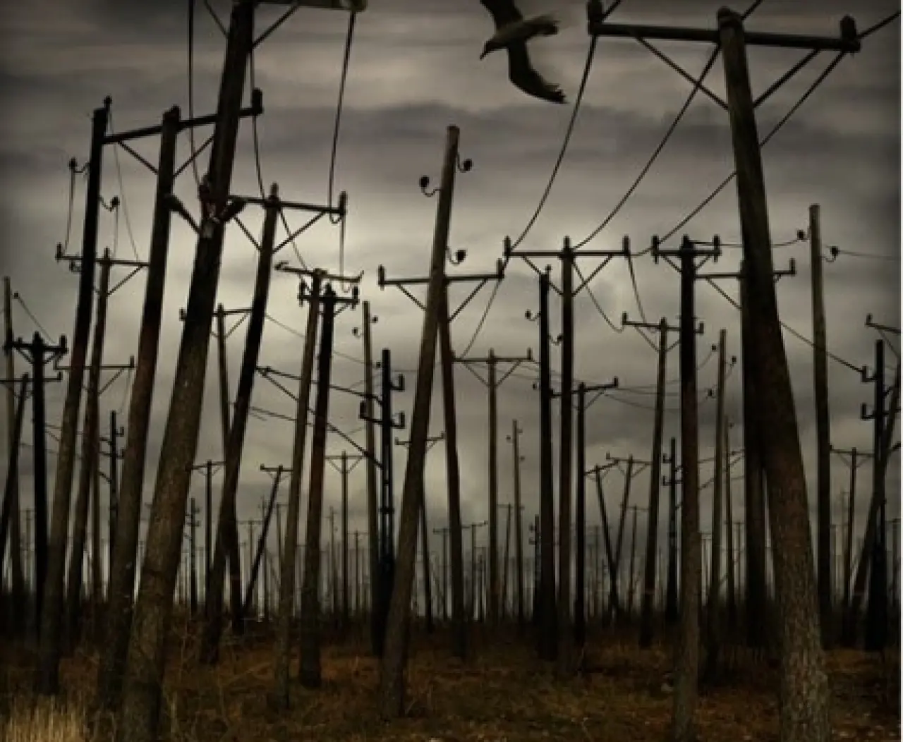 İlk Bakışta Normal Gibi... Ama İkinci Kez Bakmadan Geçemeyeceksiniz 11