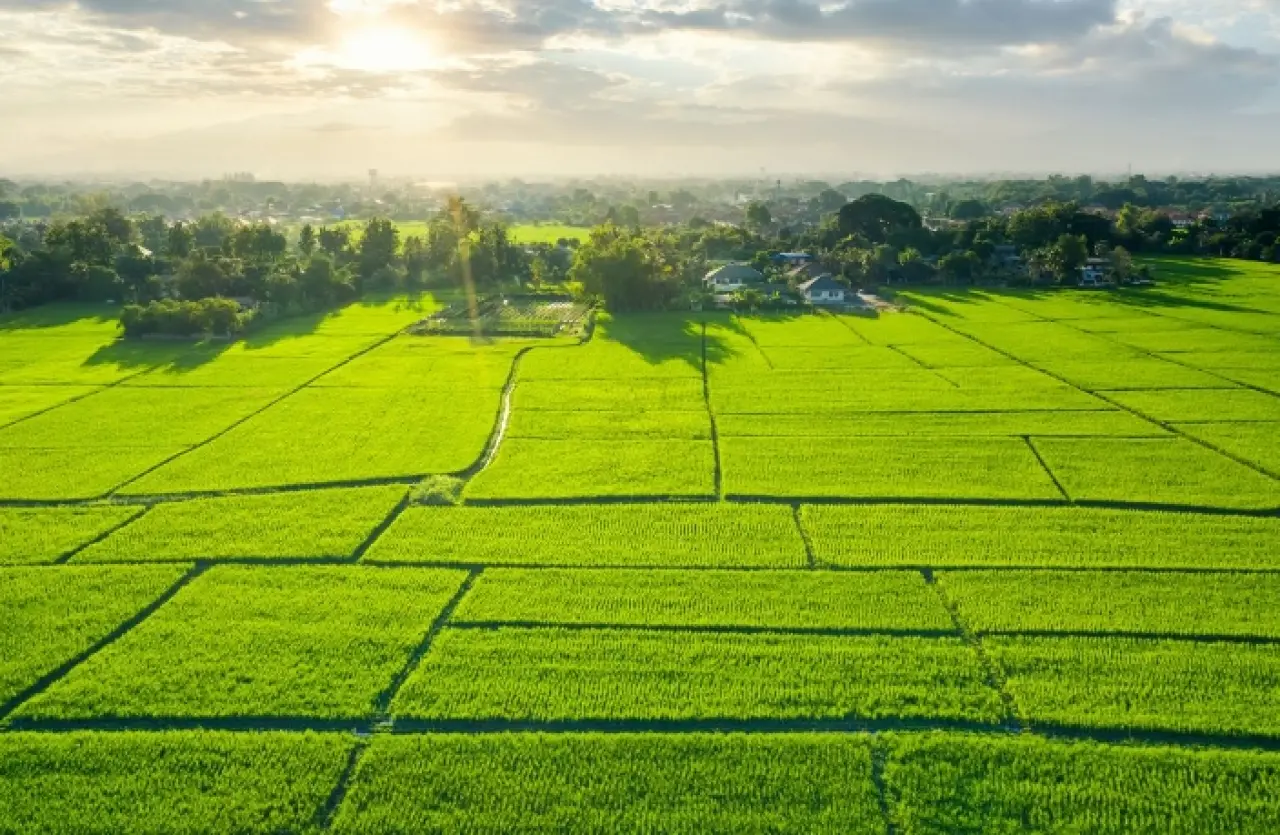 Tarlasını Boş Bırakanlar Yandı! 1 Eylül'den İtibaren... 4