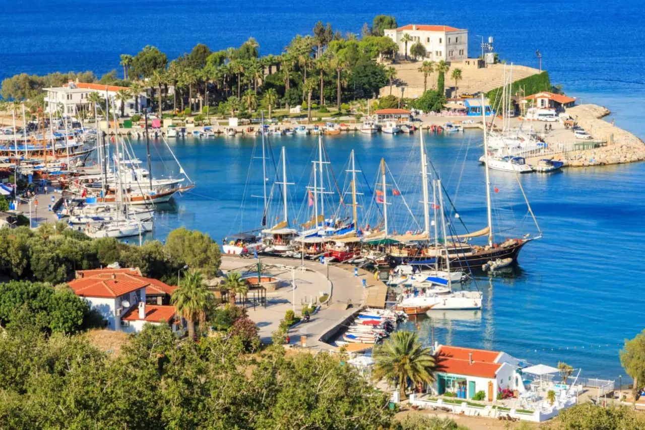 Şöhreti bırakıp doğaya mı dönüyor? Burak Deniz  köye yerleşiyor 1