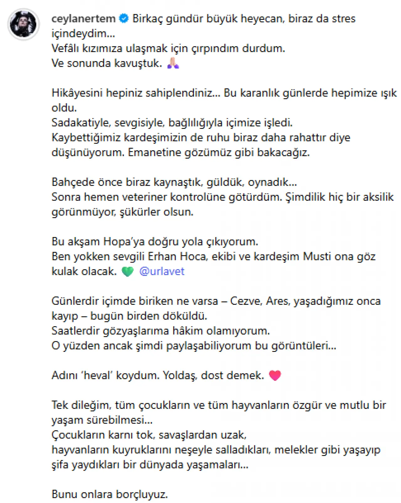 Ceylan Ertem’den yürek yakan sahiplenme! Gönüllere dokunan davranış 3