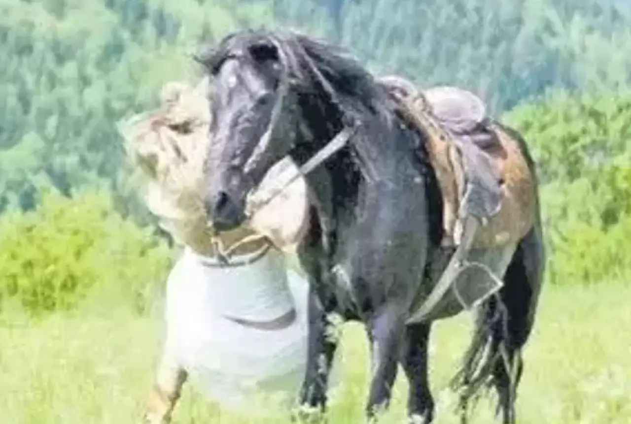 Sette büyük şok! Hafızasını kaybeden Pınar Yıldız sessizliğini Bodrum’da bozdu 1