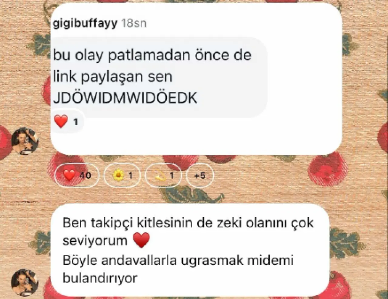 Link Verdi, linç yedi! Bahar Şahin yorumlara ateş püskürdü 3