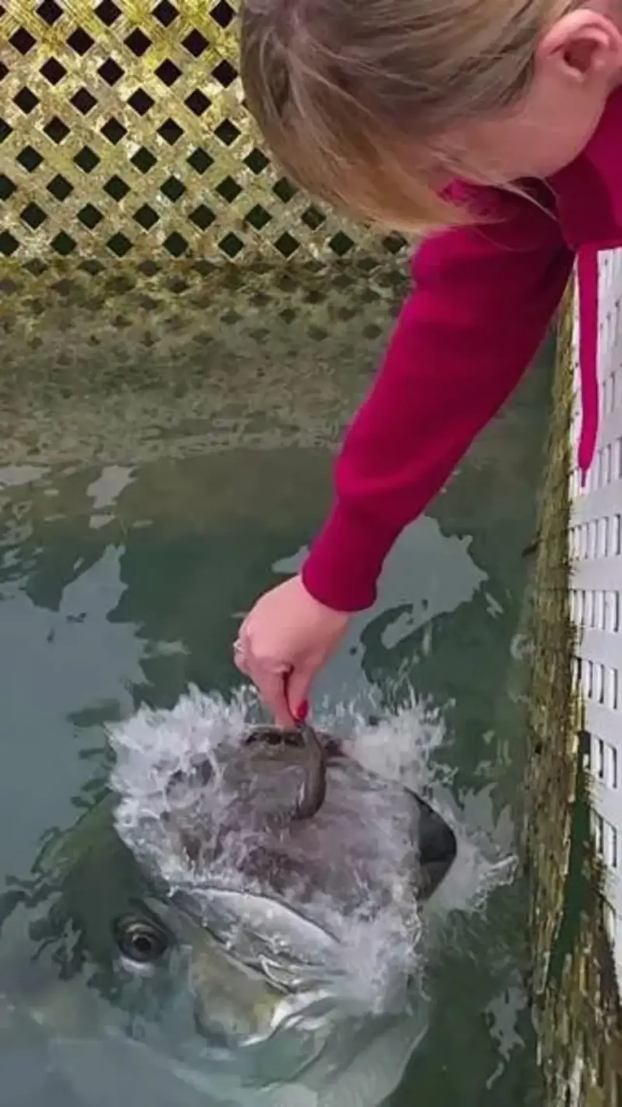 Zamanında Yakaladık! Kameranın Son Saniyede Çektiği Gülmeden Geçemeyeceğiniz O Anlar 1