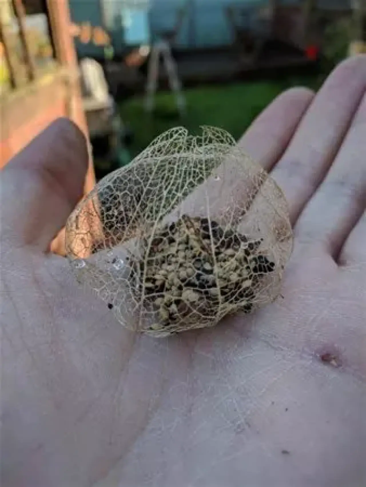 Tarihe Damgasını Vuran Görüntüler! Dünyada Yaşanmış En Şaşırtıcı Anlar 17