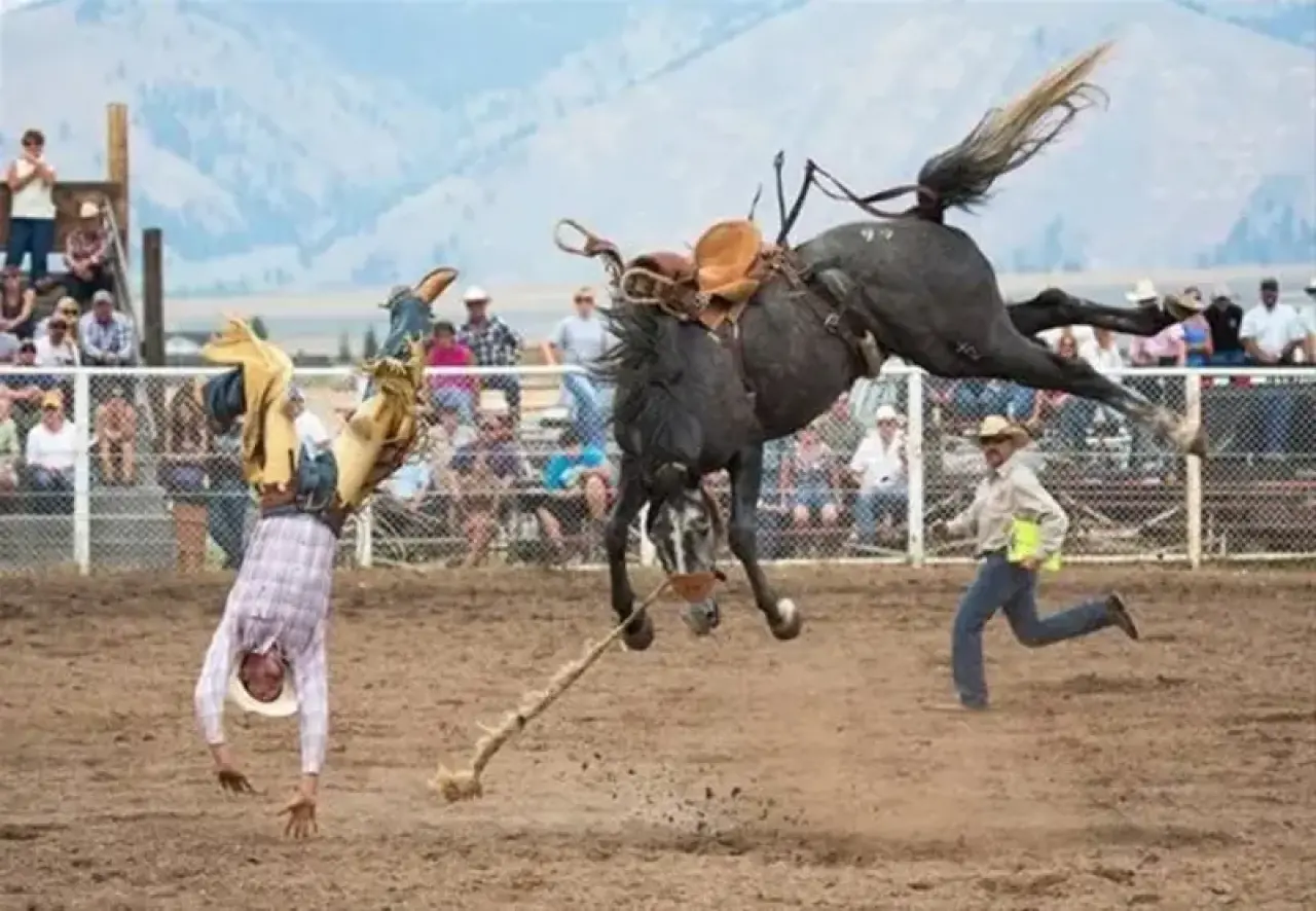 Zamanında Yakaladık! Kameranın Son Saniyede Çektiği Gülmeden Geçemeyeceğiniz O Anlar 6