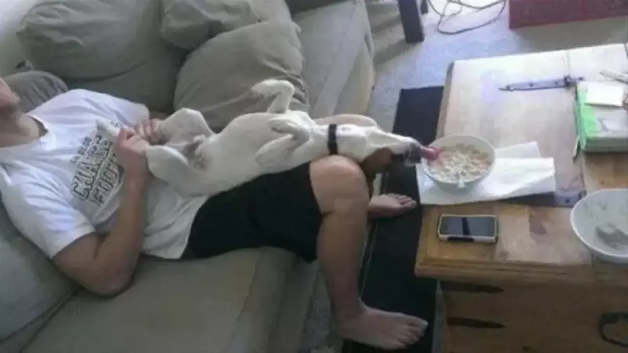 Zamanında Yakaladık! Kameranın Son Saniyede Çektiği Gülmeden Geçemeyeceğiniz O Anlar 19