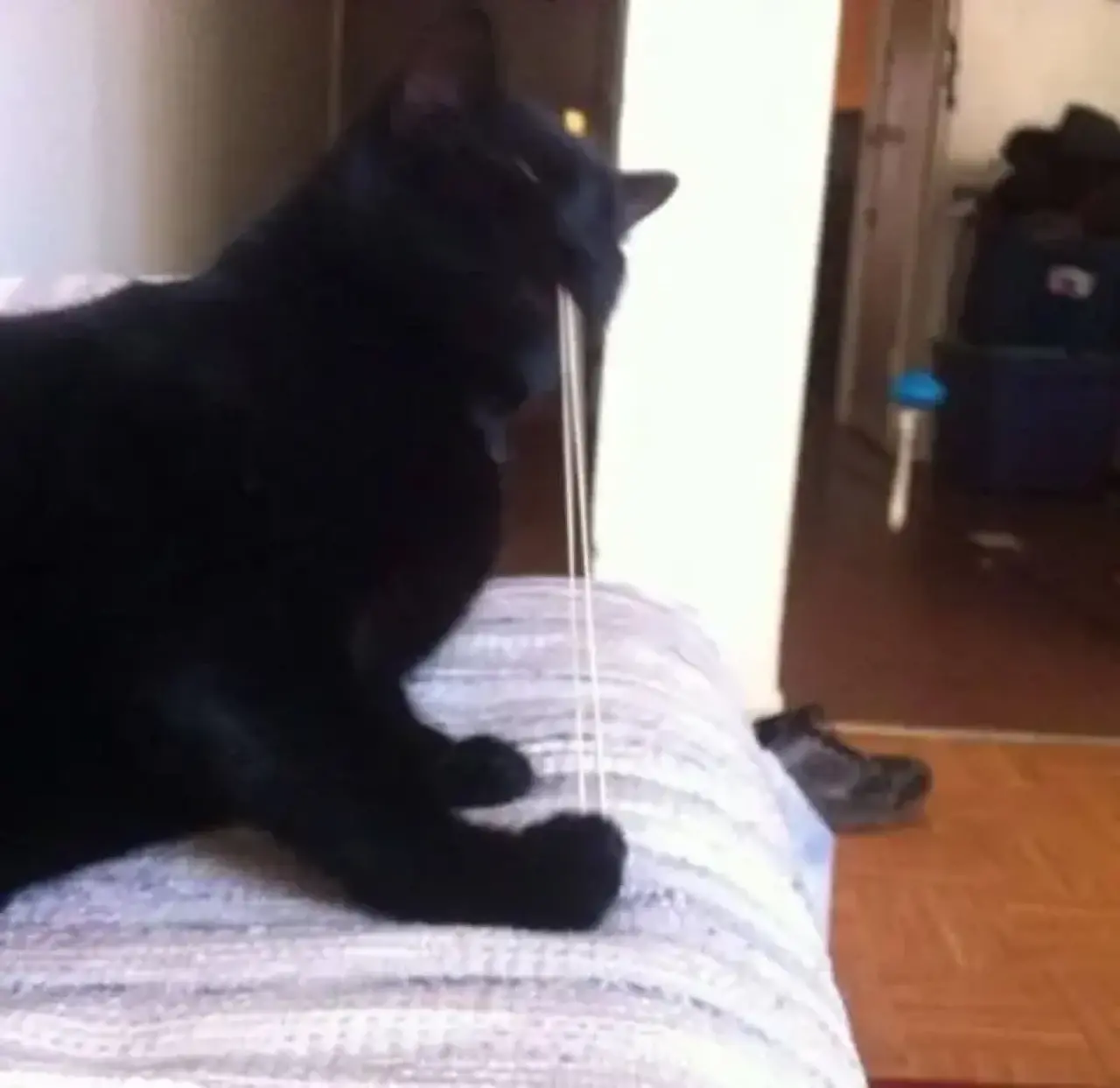 Zamanında Yakaladık! Kameranın Son Saniyede Çektiği Gülmeden Geçemeyeceğiniz O Anlar 28