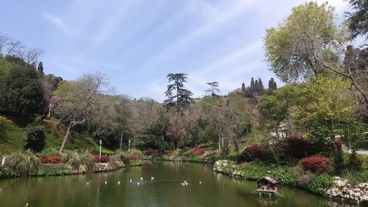 İstanbul’un En Güzel Kareleri: Tarih, Boğaz ve Renklerle Büyüleyen Şehir 12