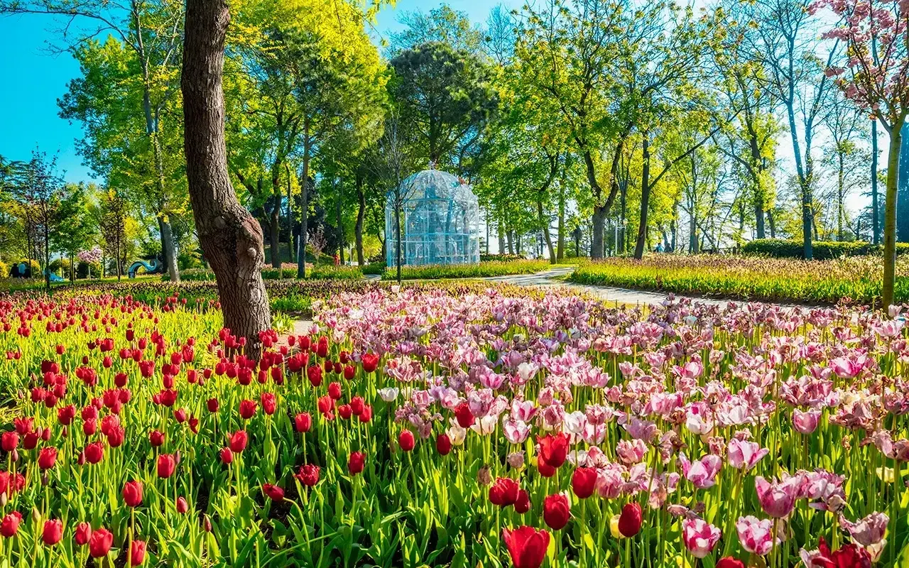 İstanbul’un En Güzel Kareleri: Tarih, Boğaz ve Renklerle Büyüleyen Şehir 10