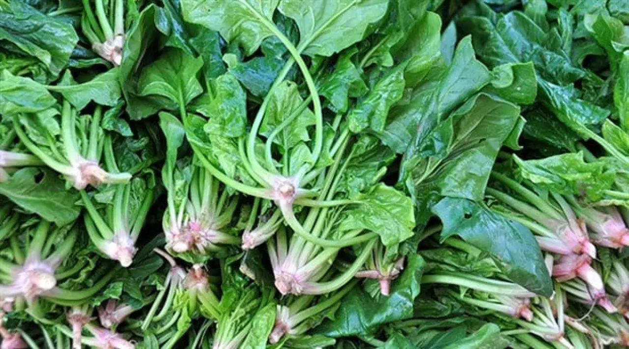 Zaman Dondu, Gerçek Konuştu: Dünyayı Değiştiren Fotoğrafların Gizli Hikâyeleri 26