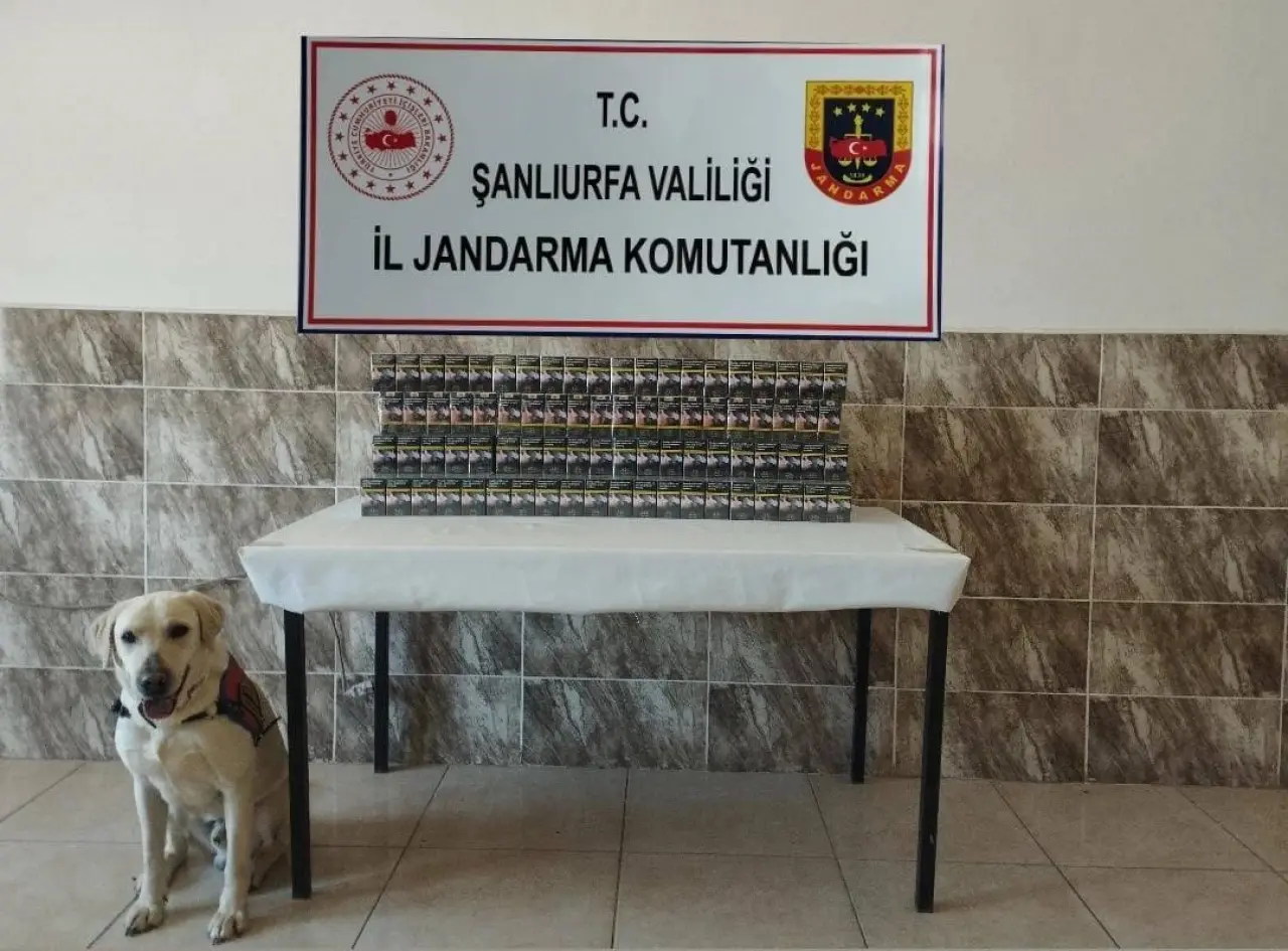 Çay, sigara, tütün... Şanlıurfa'da hepsi ortaya saçıldı! 3