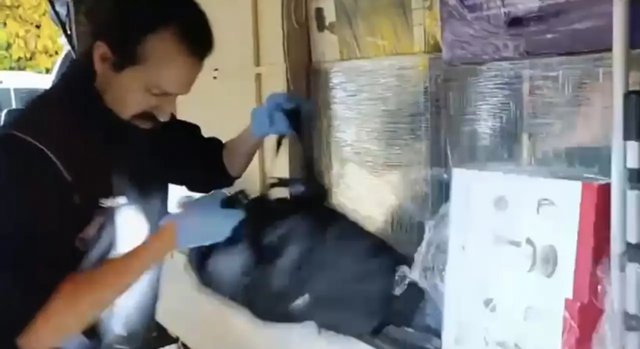 Şeytanı kıskandıracak plan! Kamyonetten uyuşturucu fışkırdı 2