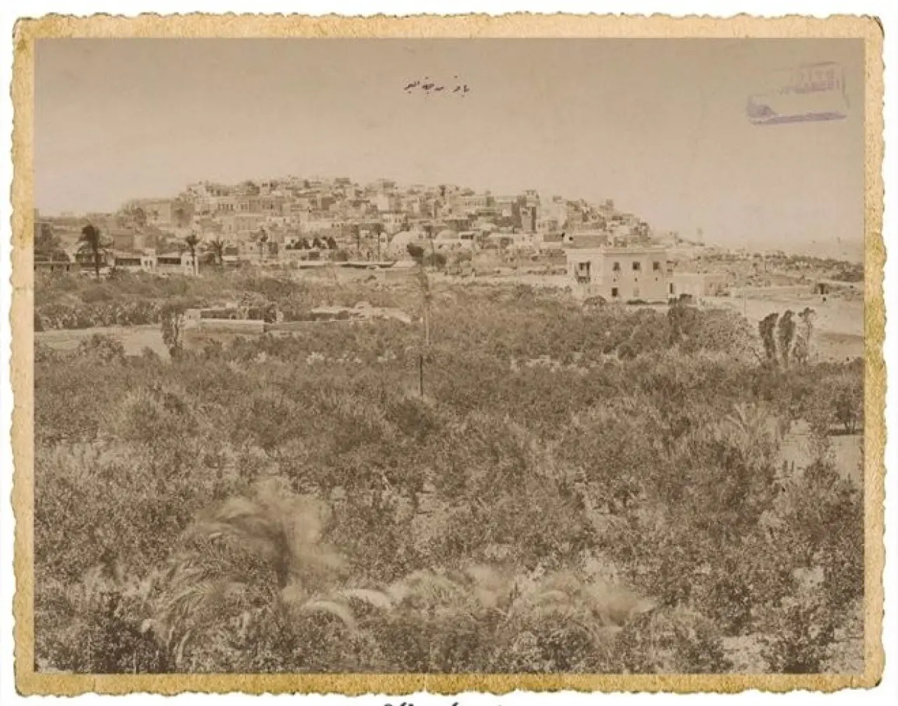 Sultanların objektifinden Kudüs: Arşivden çıkan bu kareler tüylerinizi diken diken edecek 18