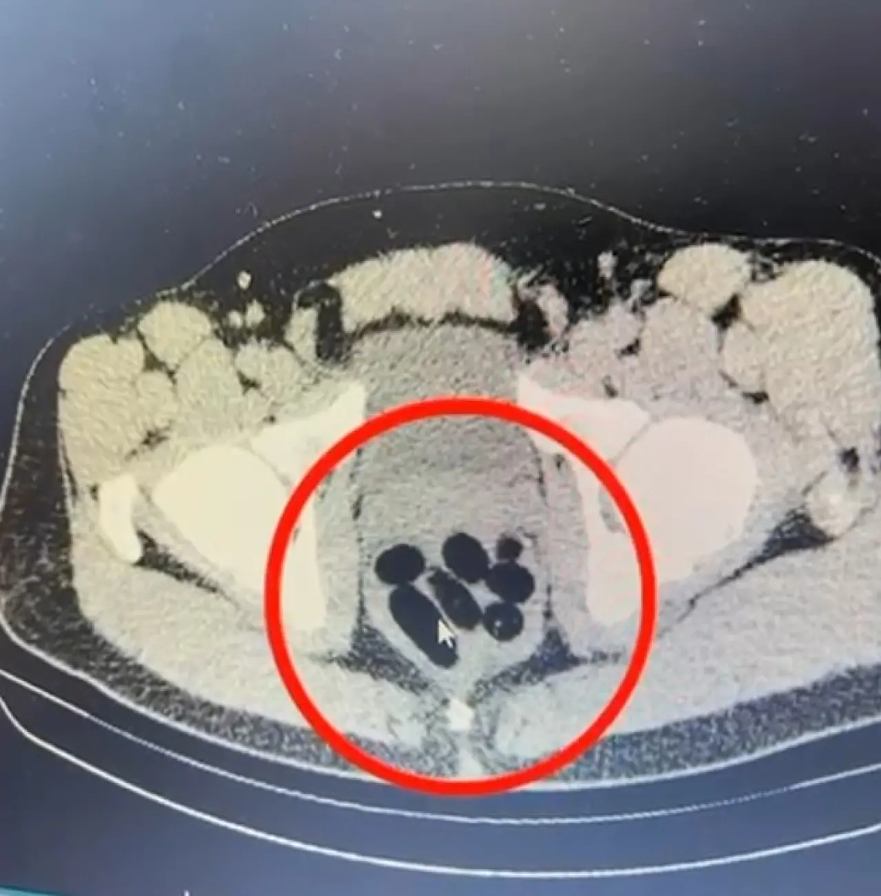 Mideyi cephaneliğe çevirmiş! Şeytani plan çökertildi 1