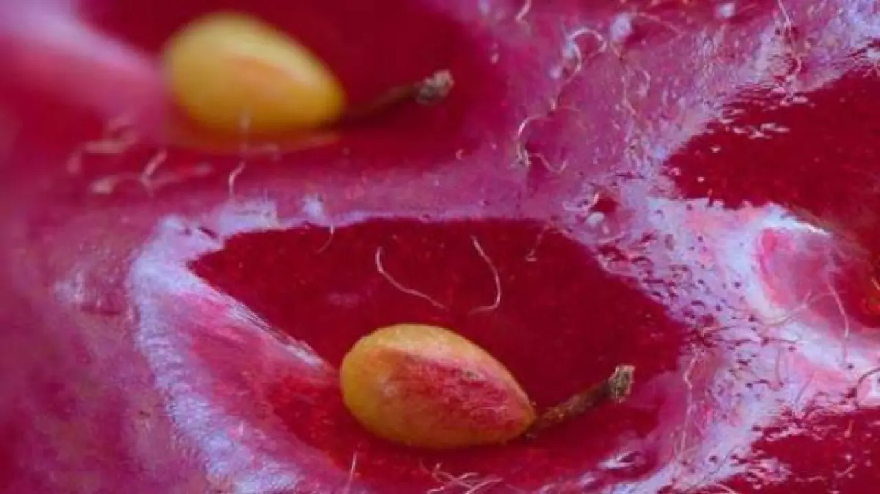 Dünyadan göz alıcı kareler: Doğanın, sanatın ve hayatın en ilginç anları! 1