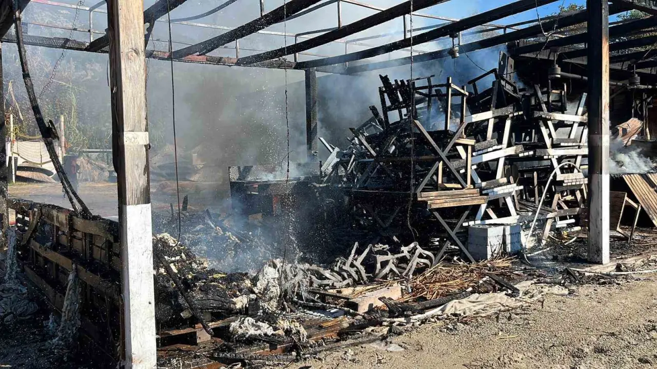 Antalya'da deniz değil, alev dalgası... Dumanlar güneşi kapattı! 2