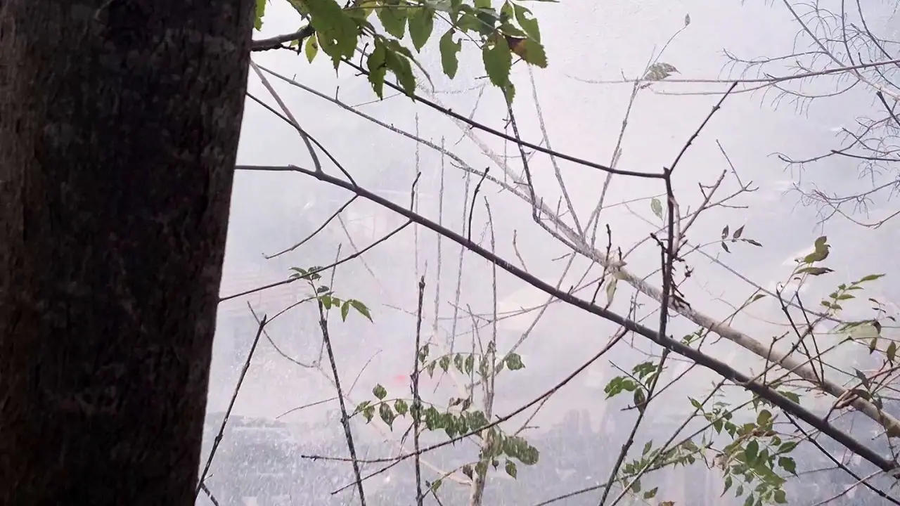 Alevler yükseldi, sinirler patladı... İtfaiyeci muhabiri yıkadı! 4