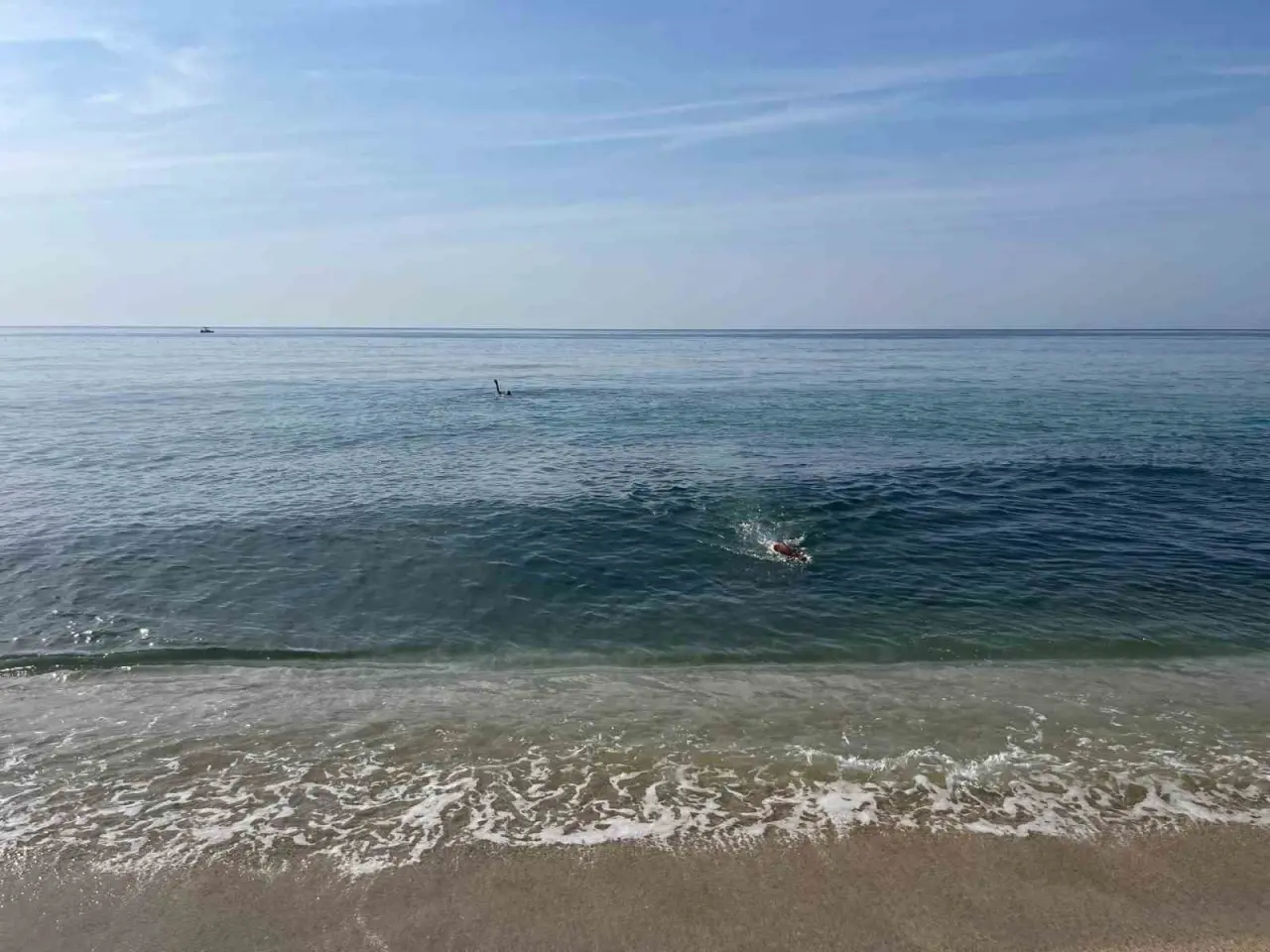 Bir yanımız yaprak dökerken bir yanımız bahar bahçe: Alanya'da kasım güneşi! 3