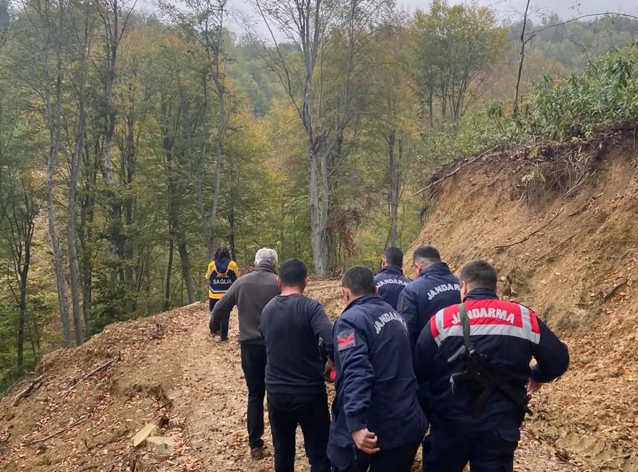 Dakikalarla yarıştılar... Ayı saldırısında dehşet anları! 1