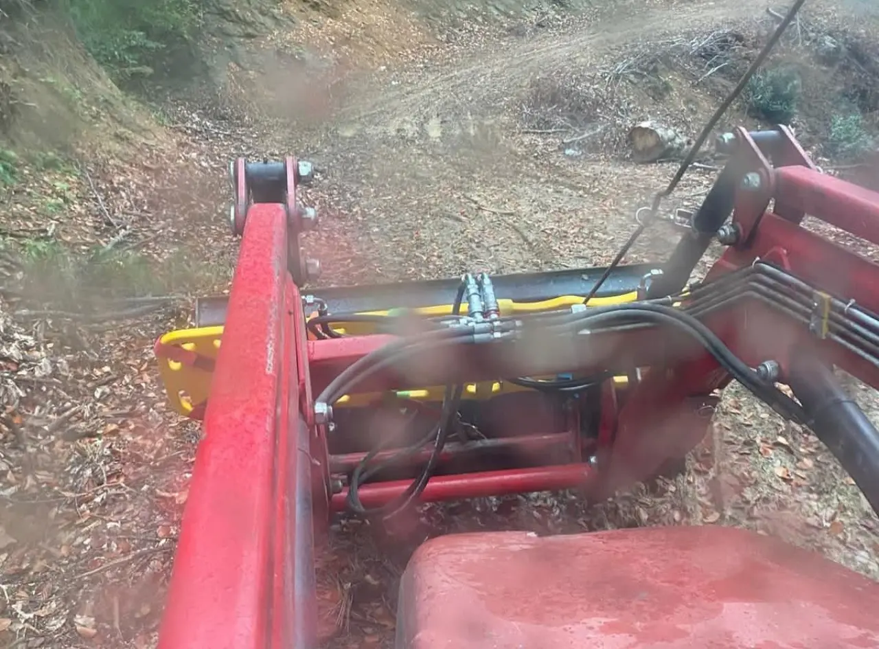 Dakikalarla yarıştılar... Ayı saldırısında dehşet anları! 2