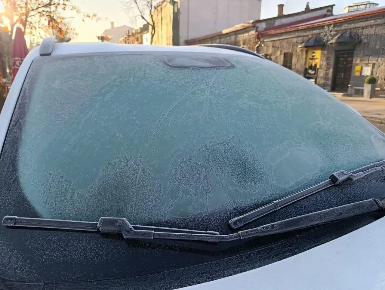 Karsta hayat dondu! Buz gibi gerçek kamerada 3