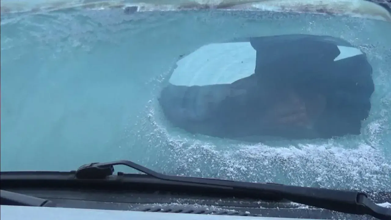 Karsta hayat dondu! Buz gibi gerçek kamerada 1