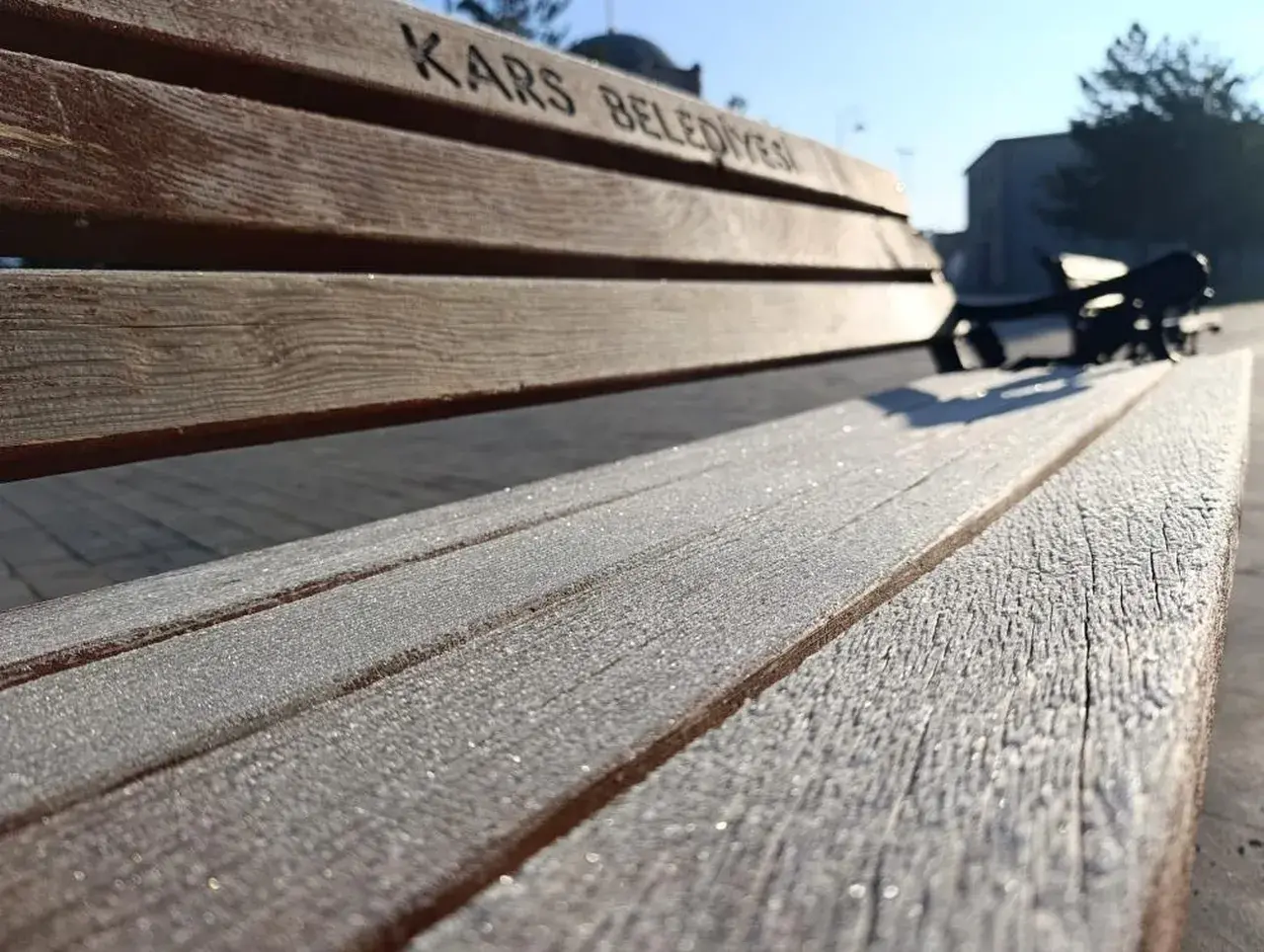 Karsta hayat dondu! Buz gibi gerçek kamerada 4