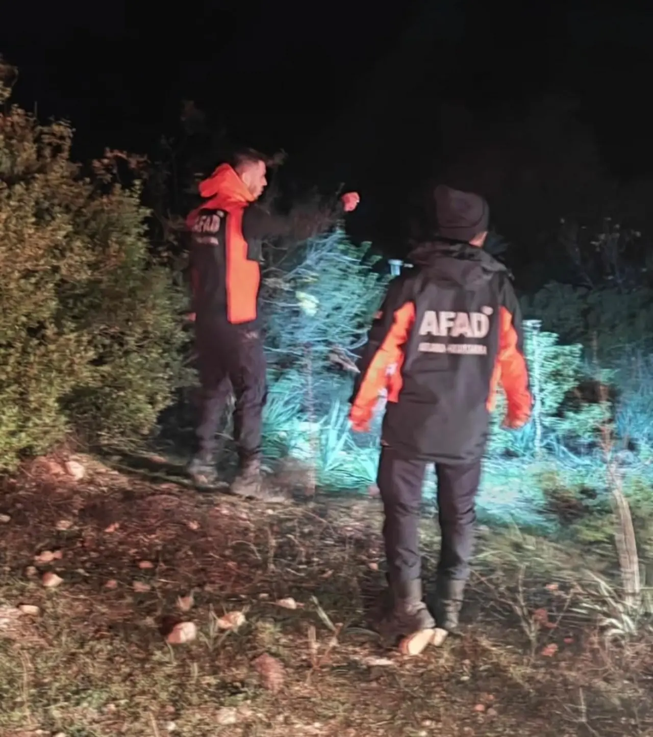 İzmir’in ormanlık alanında kayıp alarmı: Ekipler gece boyu aradı 1