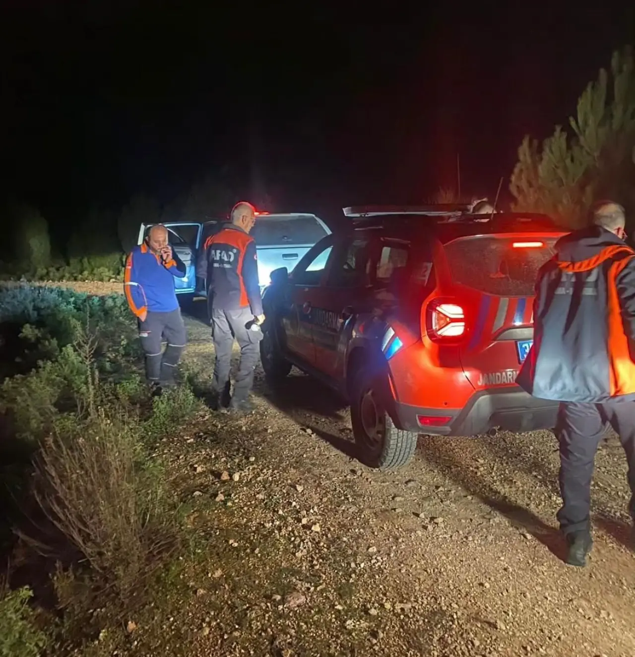İzmir’in ormanlık alanında kayıp alarmı: Ekipler gece boyu aradı 2
