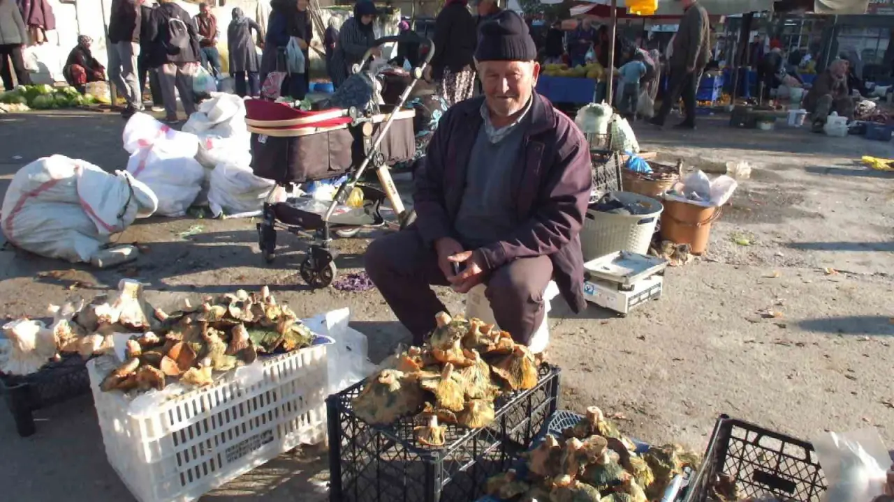 İki aylık yağmur mantar bereketi getirdi: Fiyatlar düştü, tezgâhlar doldu! 1