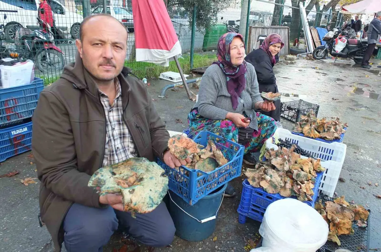İki aylık yağmur mantar bereketi getirdi: Fiyatlar düştü, tezgâhlar doldu! 2