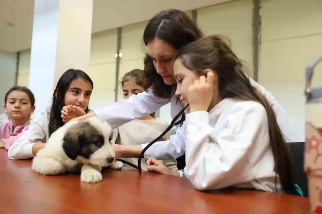 Minik veterinerler görev başında 1