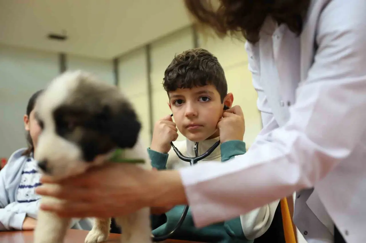 Minik veterinerler görev başında 2