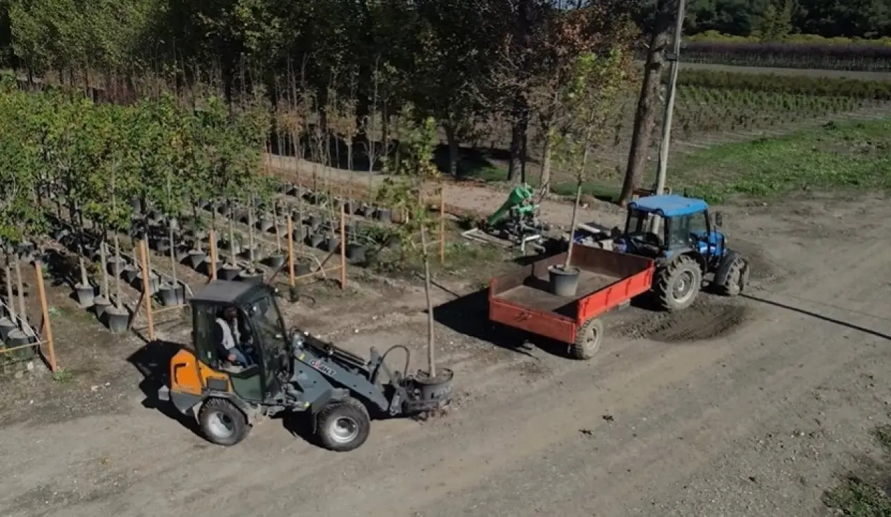 81 Yıllık fidanlık 2025’te sınırları zorladı: İşte rekorun ardındaki sır! 1