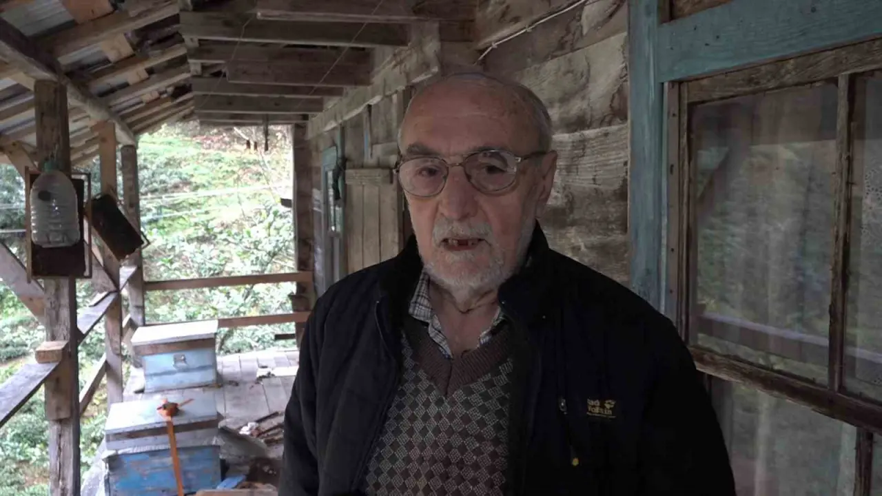 Trabzon’da balkona tırmanan ayının bal baskını kamerada! 2