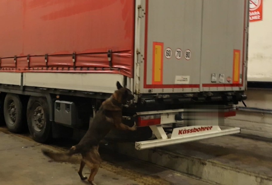 319-milyon-tl-degerindeki-525-kilo-uyusturucu-kapikulede-sergilendi