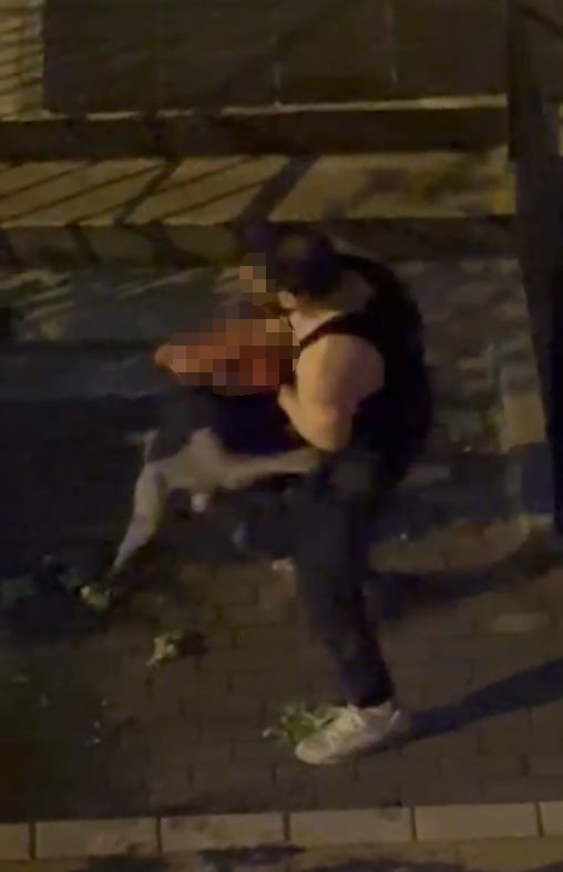 bahcelievlerde-pitbull-cinsi-kopek-sahibine-saldirdi-dehset-anlari-kamerada