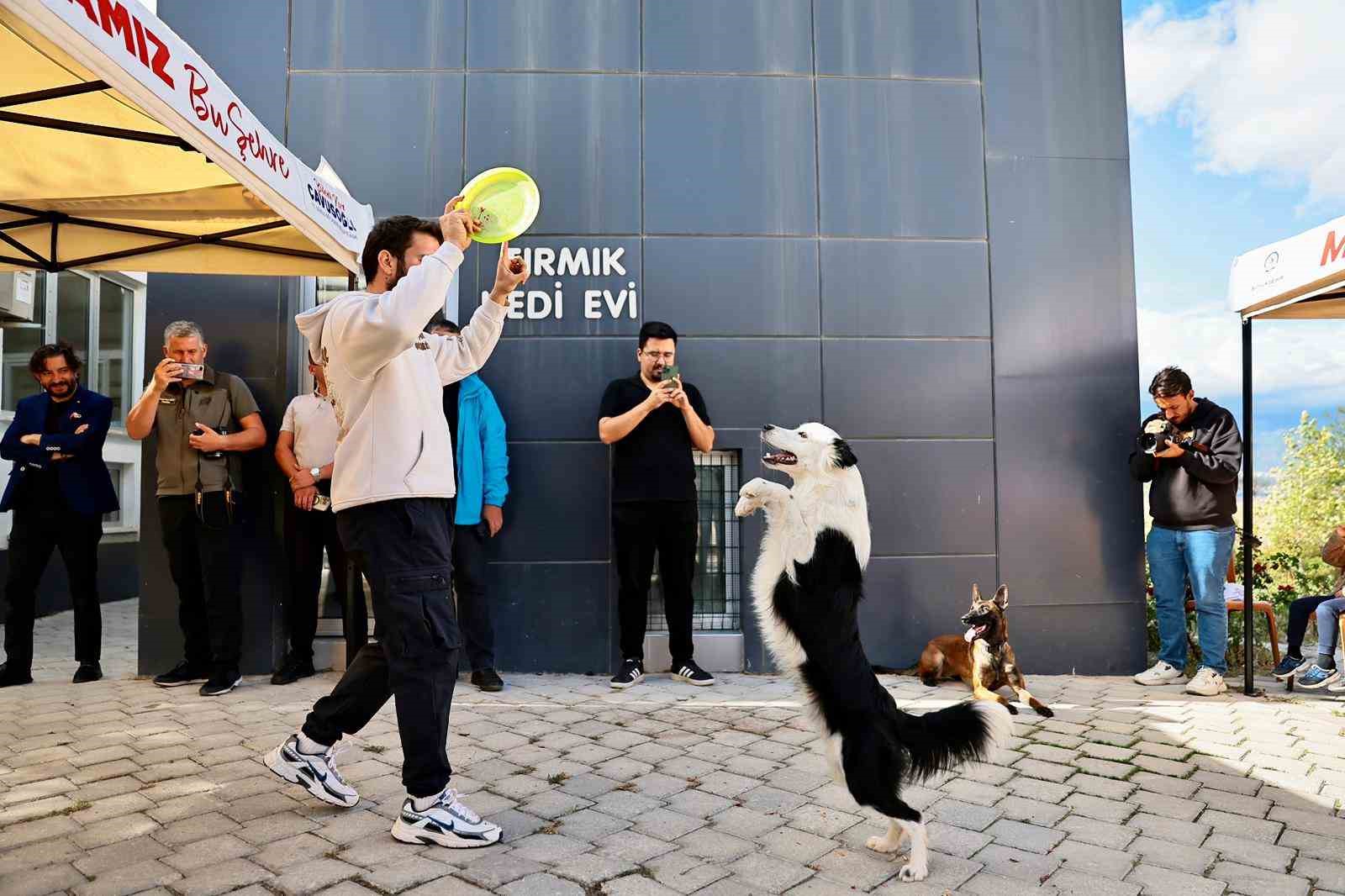 baskan-arslan-tum-canlilarin-yasam-hakkina-saygi-duymaliyiz